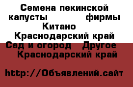 Семена пекинской капусты KS 888 F1 фирмы Китано  - Краснодарский край Сад и огород » Другое   . Краснодарский край